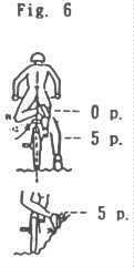 Fig6