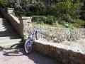 xCommunityCenter RearWheelSidehop