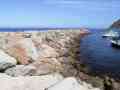xJetty Whole